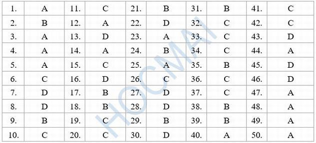 Đáp án đề thi tiếng Anh 