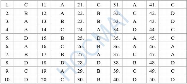 Đáp án đề thi tiếng Anh 