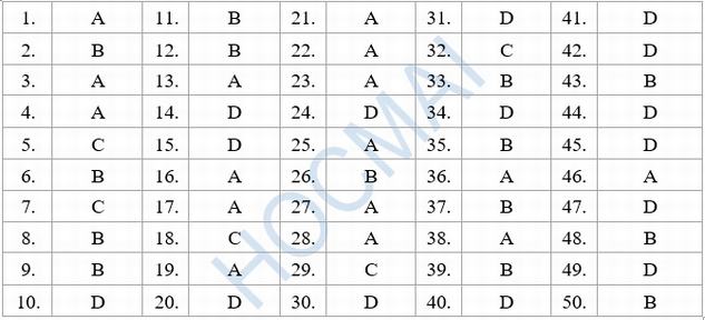 Đáp án đề thi tiếng Anh 