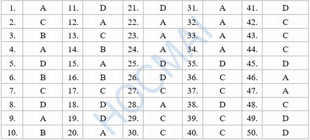 Đáp án đề thi tiếng Anh 