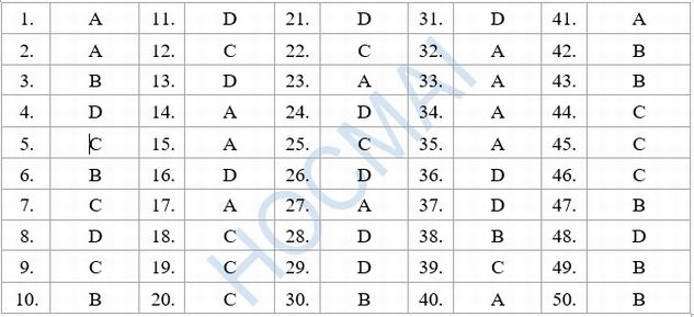 Đáp án đề thi tiếng Anh 