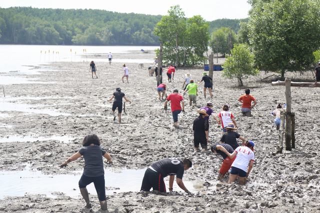 Về nguồn UEF 2017 3