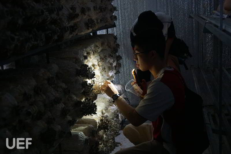 Hành trình khởi nghiệp