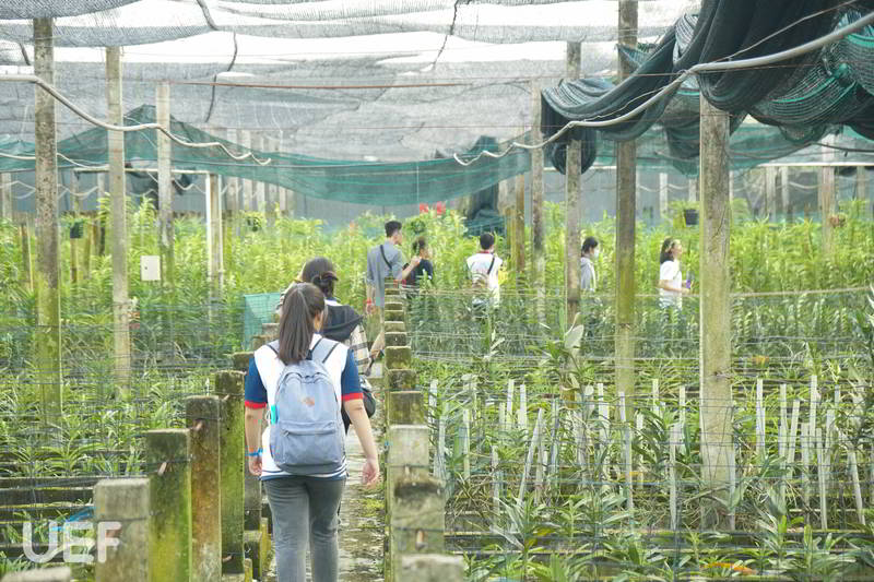 Hành trình khởi nghiệp