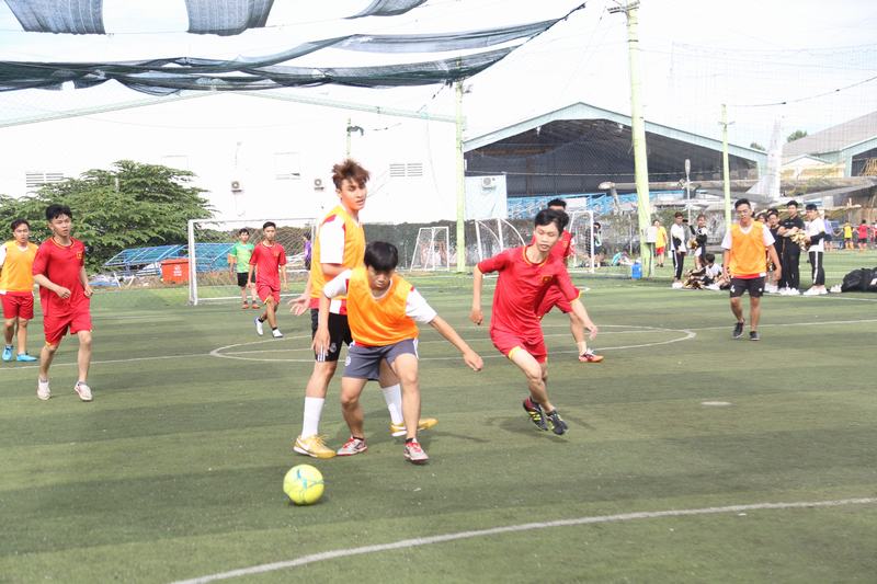 khai mạc bóng đá 8