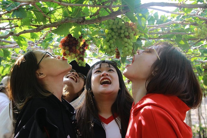 Hội trại UEF ngày 1 - hình 9