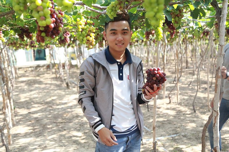 hình 10 hội trại UEF ngày 1