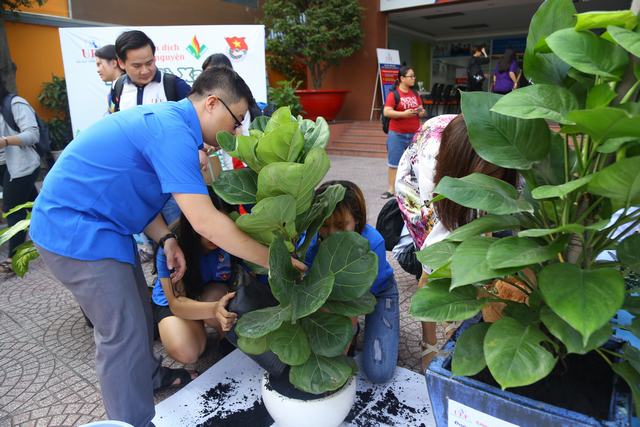 Green day 2017 UEF 1