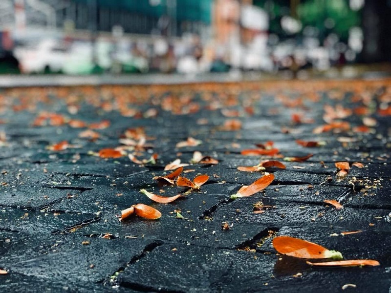 City Tour - Plus 3 6