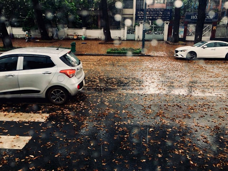 City Tour - Plus 3 8