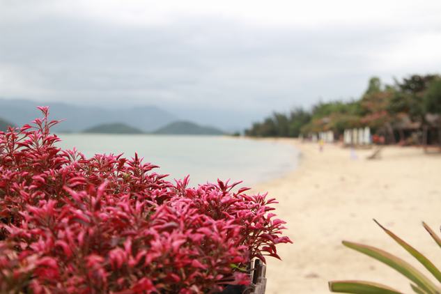 Cùng sinh viên UEF đếm ngược đến hội trại “48 giờ trải nghiệm”